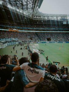 palmeiras