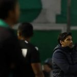 Após cinco anos, Abel Ferreira comanda o Verdão em 200 jogos no Brasileiro