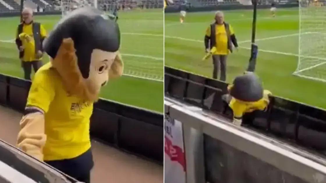 Mascote de time inglês é expulso de estádio por “atuar” bêbado