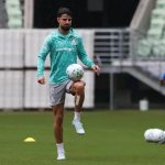 Palmeiras faz primeiro teste no Allianz Parque após troca de gramado