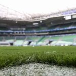 Palmeiras x Mirassol: saiba onde assistir o jogo deste domingo